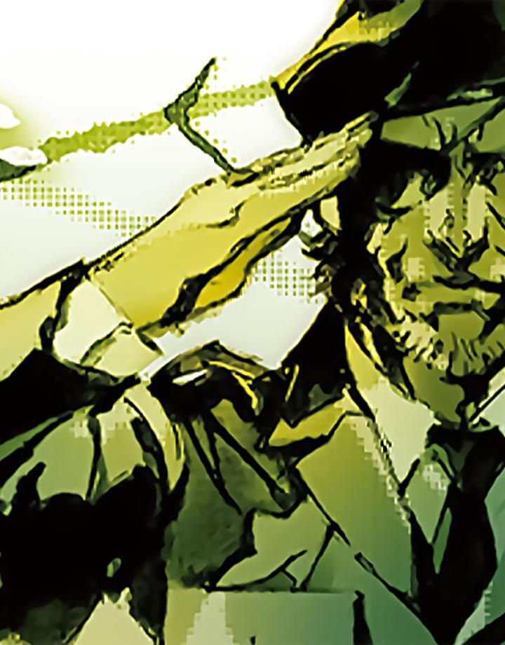 Metal Gear Solid 3: Snake Eater