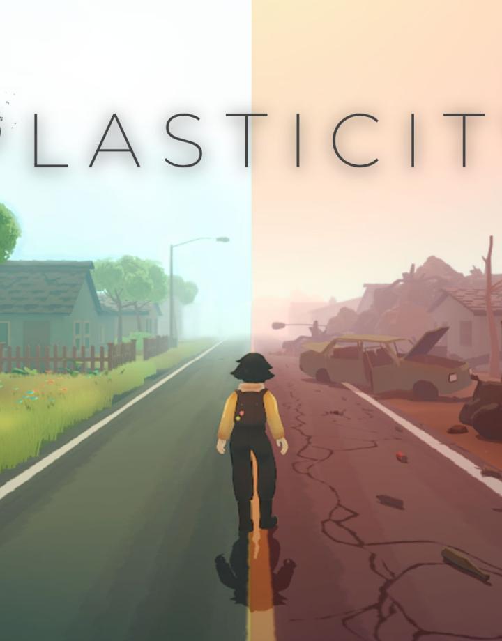 Plasticity