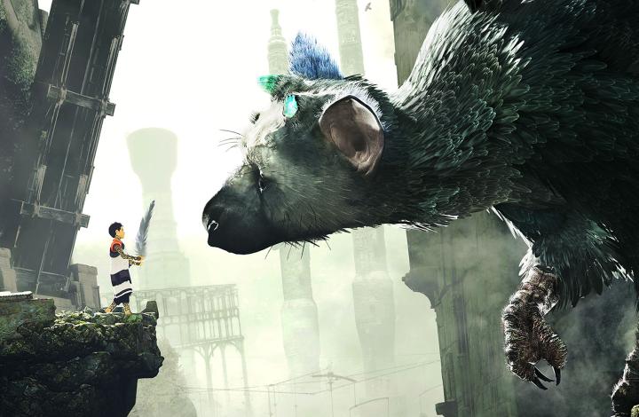 Ein Jahrzehnt Trico