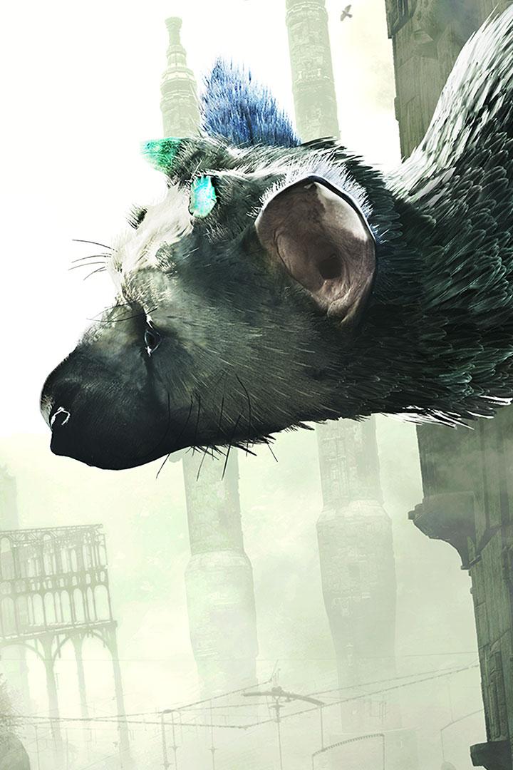 Ein Jahrzehnt Trico