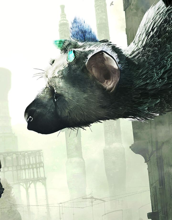 Ein Jahrzehnt Trico