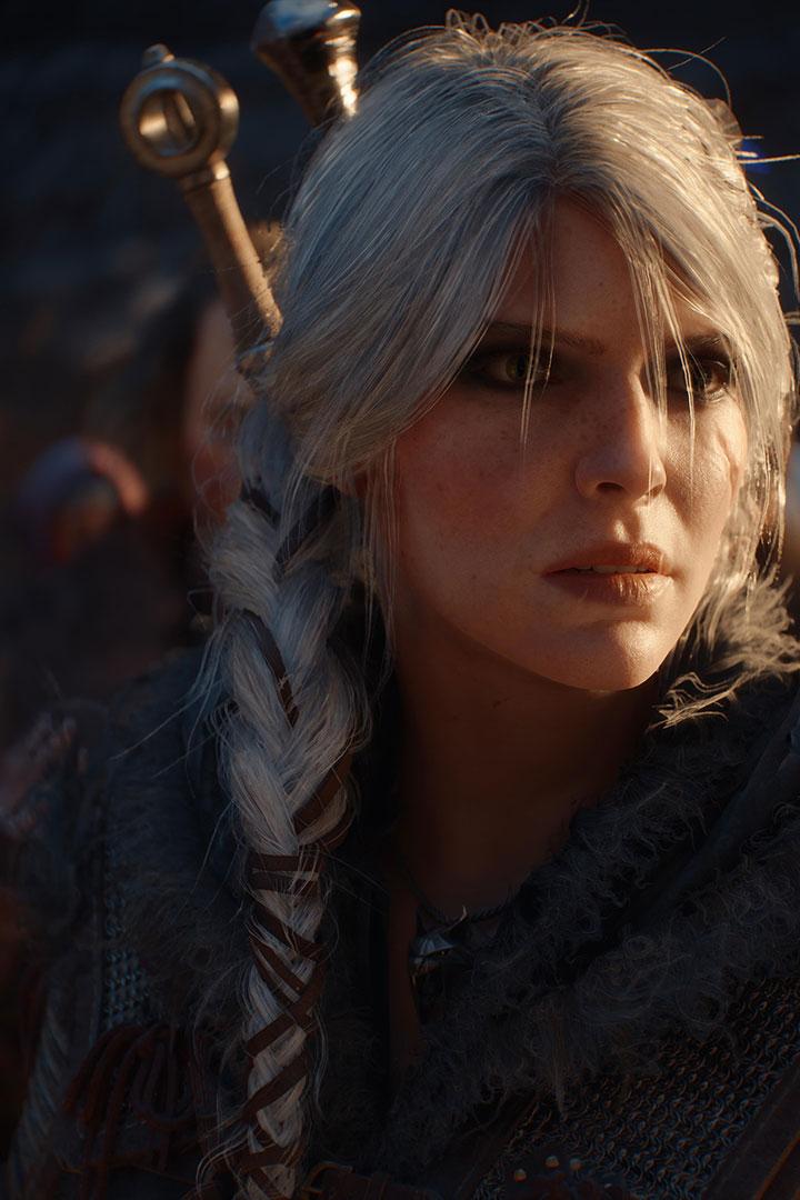 The Witcher IV